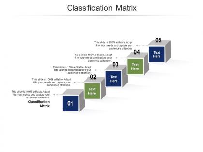 Classification matrix ppt powerpoint presentation professional portfolio cpb