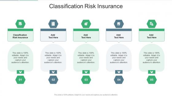Classification Risk Insurance In Powerpoint And Google Slides Cpb