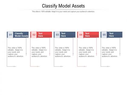 Classify model assets ppt powerpoint presentation layouts visual aids cpb