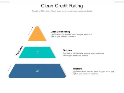 Clean credit rating ppt powerpoint presentation professional vector cpb