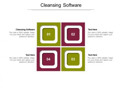 Cleansing software ppt powerpoint presentation model gridlines cpb