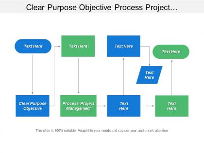 Clear purpose objective process project management technology environment