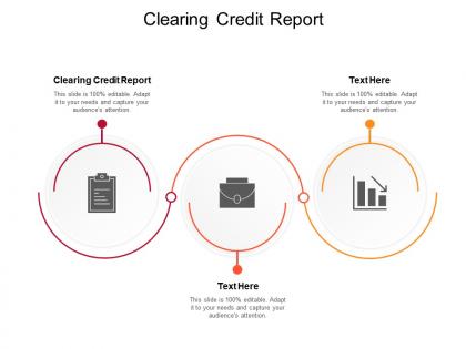 Clearing credit report ppt powerpoint presentation styles vector cpb