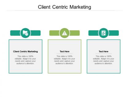 Client centric marketing ppt powerpoint presentation pictures information cpb
