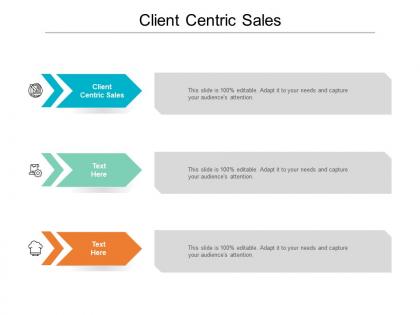 Client centric sales ppt powerpoint presentation ideas professional cpb