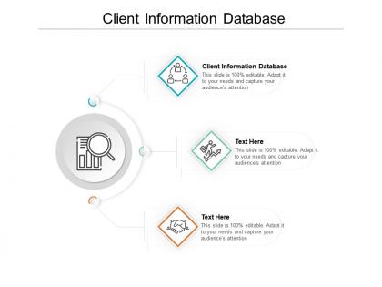 Client information database ppt powerpoint presentation file vector cpb