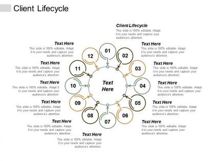 Client lifecycle ppt powerpoint presentation gallery layouts cpb