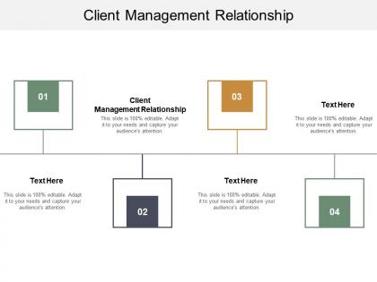 Client management relationship ppt powerpoint presentation icon graphic tips cpb
