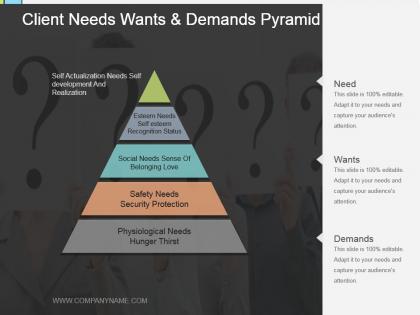 Client needs wants and demands pyramid powerpoint ideas