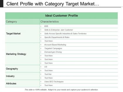 Client profile with category target market strategy and industry