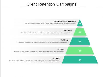 Client retention campaigns ppt powerpoint presentation styles show cpb