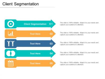 Client segmentation ppt powerpoint presentation gallery brochure cpb