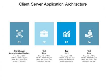 Client server application architecture ppt powerpoint presentation visual aids show cpb