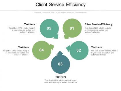Client service efficiency ppt powerpoint presentation model demonstration cpb