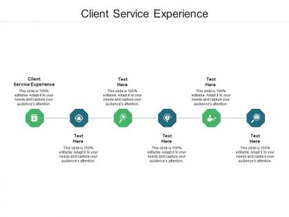 Client service experience ppt powerpoint presentation styles brochure cpb