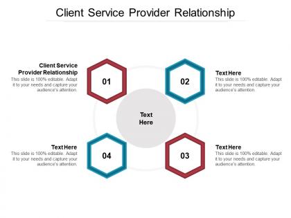 Client service provider relationship ppt powerpoint presentation summary sample cpb