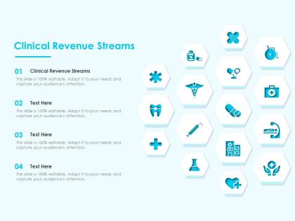 Clinical revenue streams ppt powerpoint presentation styles summary