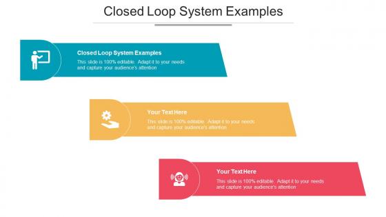 Closed Loop System Examples Ppt Powerpoint Presentation Inspiration Examples Cpb