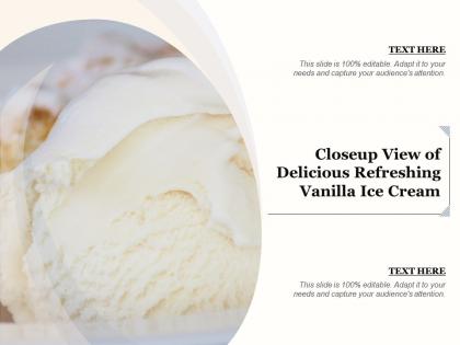 Closeup view of delicious refreshing vanilla ice cream