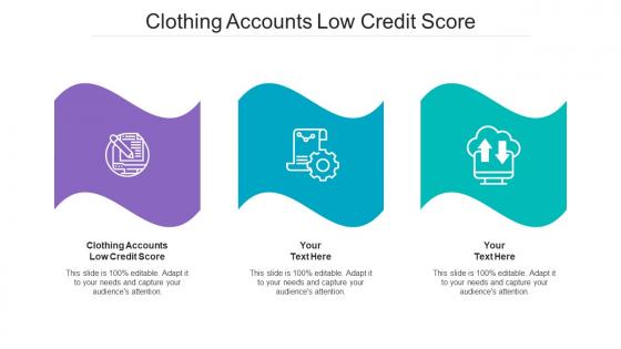 Clothing Accounts Low Credit Score Ppt Powerpoint Presentation Infographic Template Example Cpb