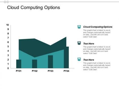 Cloud computing options ppt powerpoint presentation infographics objects cpb