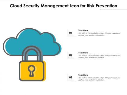 Cloud security management icon for risk prevention