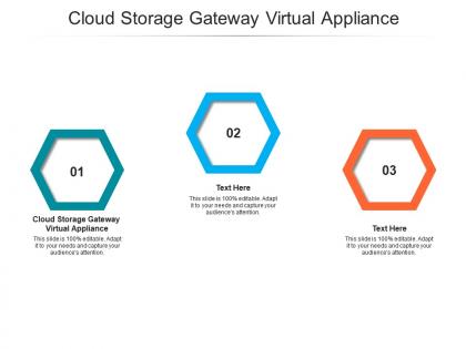 Cloud storage gateway virtual appliance ppt powerpoint presentation ideas brochure cpb