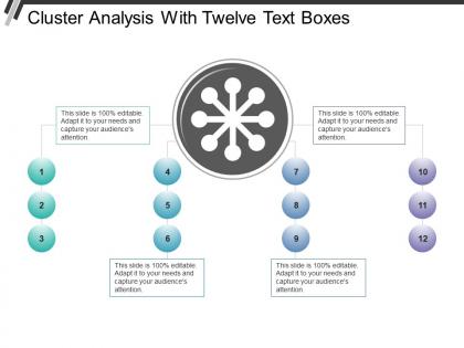 Cluster analysis with twelve text boxes