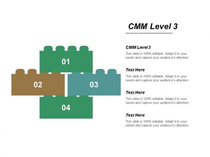Cmm level 3 ppt powerpoint presentation file infographic template cpb