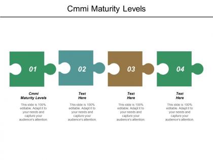 Cmmi maturity levels ppt powerpoint presentation infographics example cpb