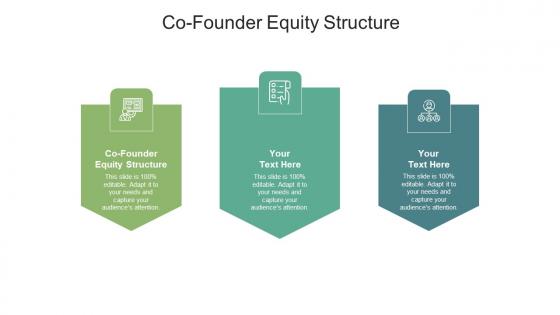 Co founder equity structure ppt powerpoint presentation slides clipart images cpb
