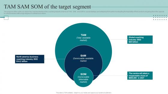 Coaching Firm Business Plan TAM SAM SOM Of The Target Segment BP SS
