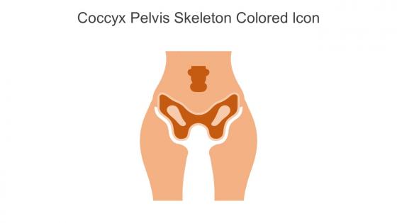 Coccyx Pelvis Skeleton Colored Icon In Powerpoint Pptx Png And Editable Eps Format