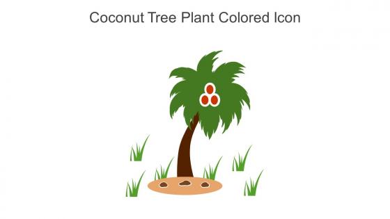 Coconut Tree Plant Colored Icon In Powerpoint Pptx Png And Editable Eps Format