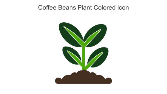 Coffee Beans Plant Colored Icon In Powerpoint Pptx Png And Editable Eps Format