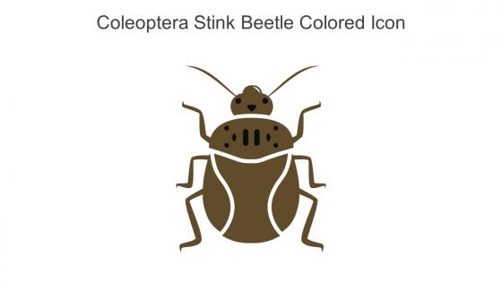Coleoptera Stink Beetle Colored Icon In Powerpoint Pptx Png And Editable Eps Format