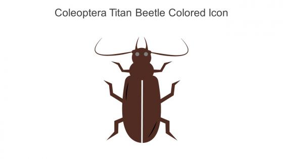 Coleoptera Titan Beetle Colored Icon In Powerpoint Pptx Png And Editable Eps Format
