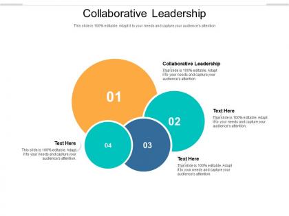 Collaborative leadership ppt powerpoint presentation file gallery cpb