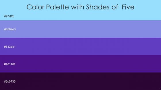Color Palette With Five Shade Anakiwa Chetwode Blue Purple Heart Persian Indigo Violet