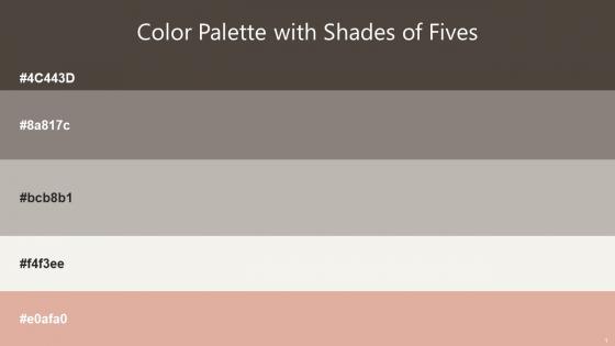 Color Palette With Five Shade Armadillo Schoone Tide Pampas Cashmere