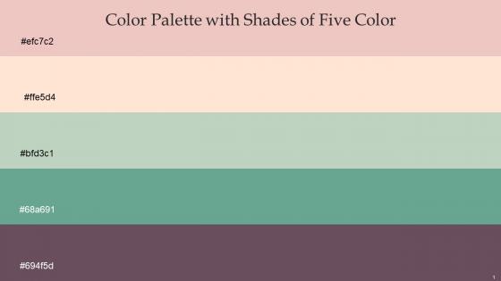 Color Palette With Five Shade Beauty Bush Karry Sea Mist Patina Zambezi