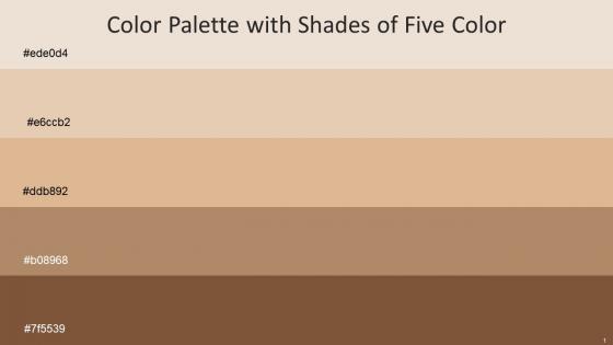 Color Palette With Five Shade Bizarre Hampton Brandy Teak Ironstone