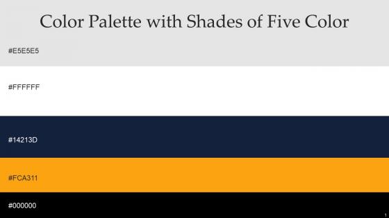 Color Palette With Five Shade Black Big Stone Sun Mercury White
