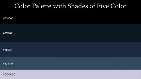 Color Palette With Five Shade Black Ebony Big Stone Pickled Bluewood Blue Haze