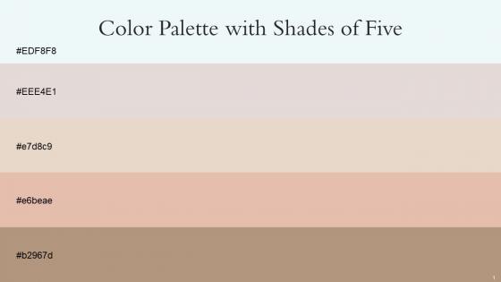 Color Palette With Five Shade Black Squeeze Pearl Bush Bone Rose Fog Sandrift