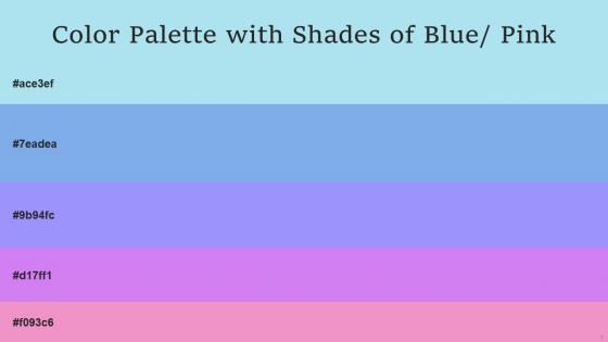 Color Palette With Five Shade Blizzard Blue Portage Melrose Heliotrope Mauvelous
