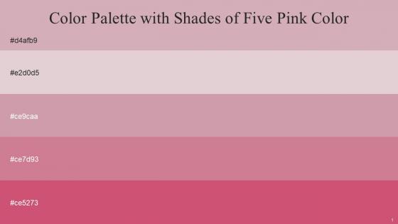Color Palette With Five Shade Blossom Lola Careys Pink Puce Chestnut Rose