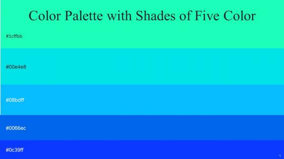 Color Palette With Five Shade Bright Turquoise Bright Turquoise Dodger Blue Blue Ribbon Blue Ribbon