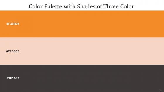 Color Palette With Five Shade Carrot Orange Givry Masala