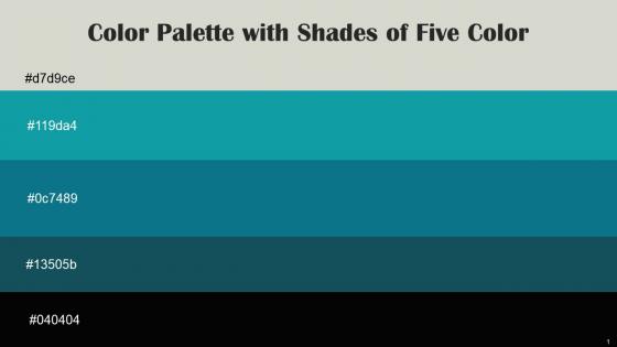 Color Palette With Five Shade Celeste Blue Chill Surfie Green Eden Black